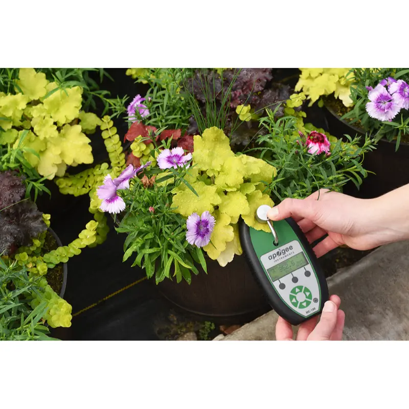 MC-100_colorful_plants__26273