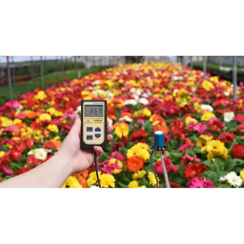 daisy-website__29550