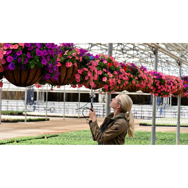 sadie-website__11966