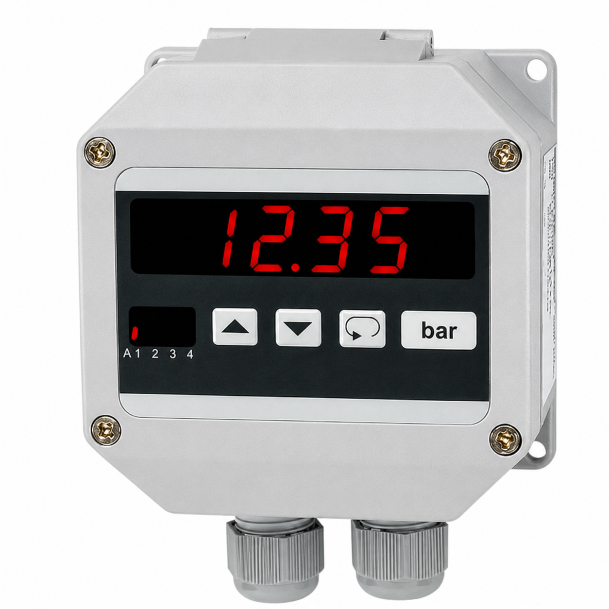 Standard Signal S1010